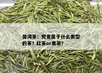 普洱茶：究竟属于什么类型的茶？红茶or黑茶？