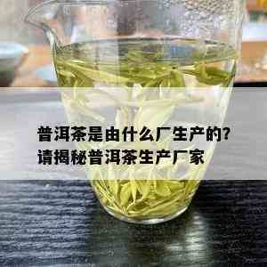 普洱茶是由什么厂生产的？请揭秘普洱茶生产厂家