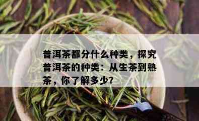 普洱茶都分什么种类，探究普洱茶的种类：从生茶到熟茶，你了解多少？