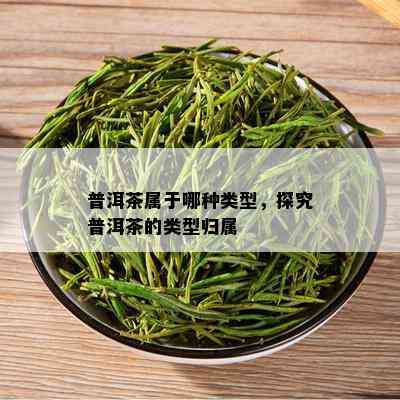 普洱茶属于哪种类型，探究普洱茶的类型归属