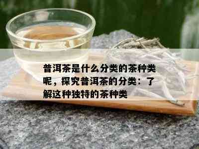 普洱茶是什么分类的茶种类呢，探究普洱茶的分类：了解这种独特的茶种类