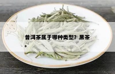 普洱茶属于哪种类型？黑茶。