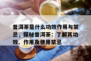 普洱茶是什么功效作用与禁忌，探秘普洱茶：了解其功效、作用及使用禁忌