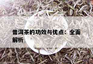 普洱茶的功效与优点：全面解析