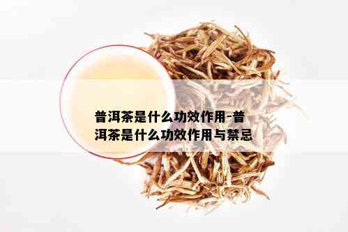 普洱茶是什么功效作用-普洱茶是什么功效作用与禁忌