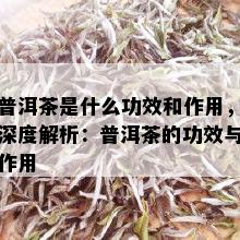 普洱茶是什么功效和作用，深度解析：普洱茶的功效与作用