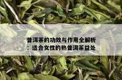 普洱茶的功效与作用全解析：适合女性的熟普洱茶益处