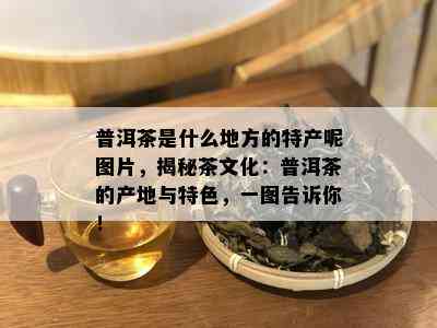 普洱茶是什么地方的特产呢图片，揭秘茶文化：普洱茶的产地与特色，一图告诉你！