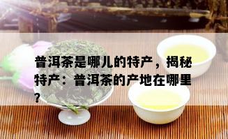 普洱茶是哪儿的特产，揭秘特产：普洱茶的产地在哪里？