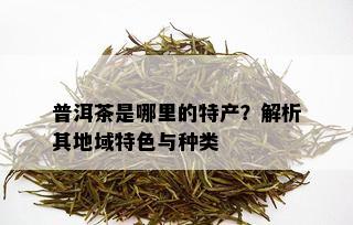 普洱茶是哪里的特产？解析其地域特色与种类