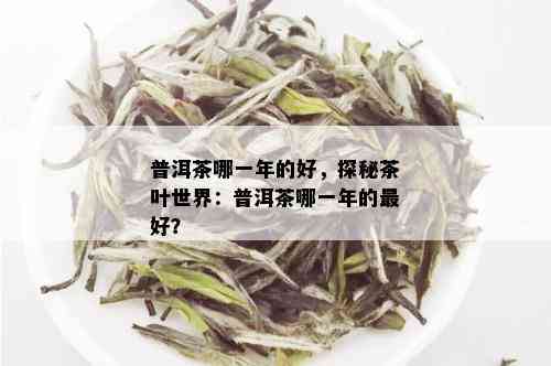 普洱茶哪一年的好，探秘茶叶世界：普洱茶哪一年的更好？