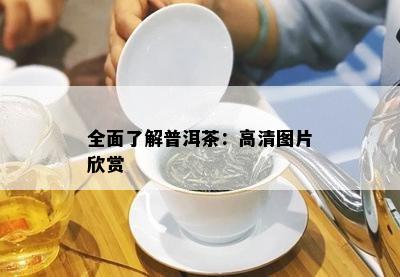 全面了解普洱茶：高清图片欣赏