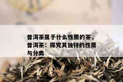 普洱茶属于什么性质的茶，普洱茶：探究其独特的性质与分类