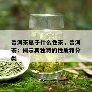 普洱茶属于什么性茶，普洱茶：揭示其独特的性质和分类