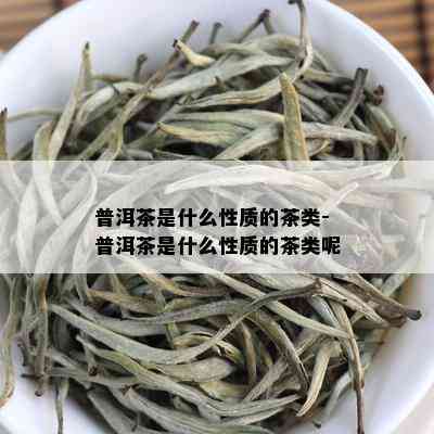 普洱茶是什么性质的茶类-普洱茶是什么性质的茶类呢