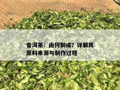 普洱茶：由何制成？详解其原料来源与制作过程