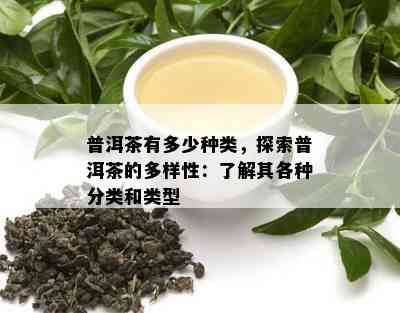 普洱茶有多少种类，探索普洱茶的多样性：了解其各种分类和类型