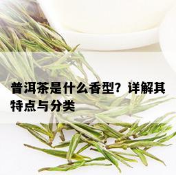 普洱茶是什么香型？详解其特点与分类