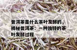 普洱茶是什么茶叶发酵的，揭秘普洱茶：一种独特的茶叶发酵过程