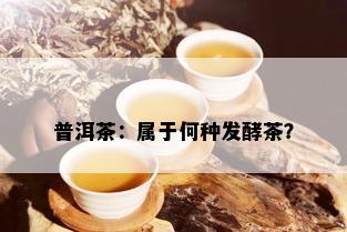 普洱茶：属于何种发酵茶？