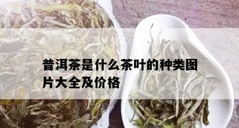 普洱茶是什么茶叶的种类图片大全及价格