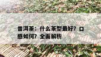 普洱茶：什么茶型更好？口感如何？全面解析