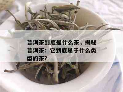 普洱茶到底是什么茶，揭秘普洱茶：它到底属于什么类型的茶？