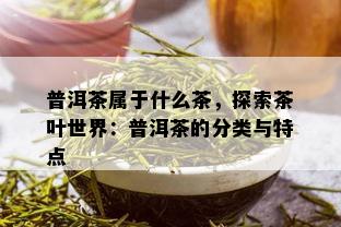 普洱茶属于什么茶，探索茶叶世界：普洱茶的分类与特点