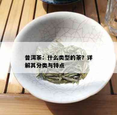 普洱茶：什么类型的茶？详解其分类与特点