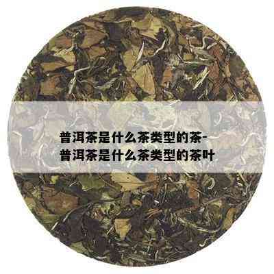 普洱茶是什么茶类型的茶-普洱茶是什么茶类型的茶叶