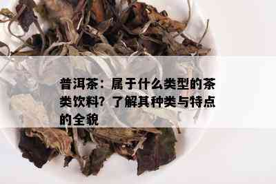 普洱茶：属于什么类型的茶类饮料？了解其种类与特点的全貌