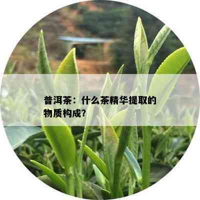 普洱茶：什么茶精华提取的物质构成？