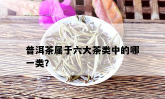 普洱茶属于六大茶类中的哪一类？