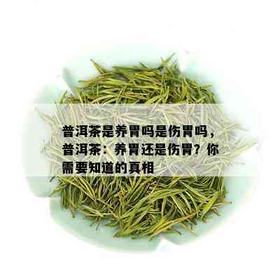 普洱茶是养胃吗是伤胃吗，普洱茶：养胃还是伤胃？你需要知道的真相