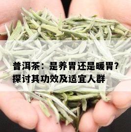 普洱茶：是养胃还是暖胃？探讨其功效及适宜人群