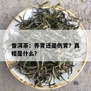 普洱茶：养胃还是伤胃？真相是什么？