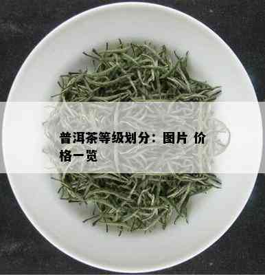 普洱茶等级划分：图片 价格一览