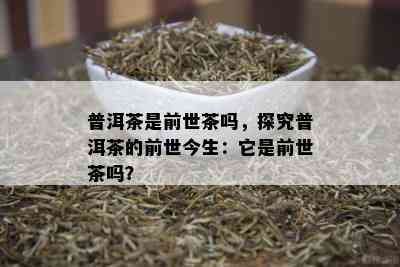 普洱茶是前世茶吗，探究普洱茶的前世今生：它是前世茶吗？