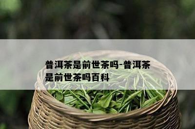 普洱茶是前世茶吗-普洱茶是前世茶吗百科