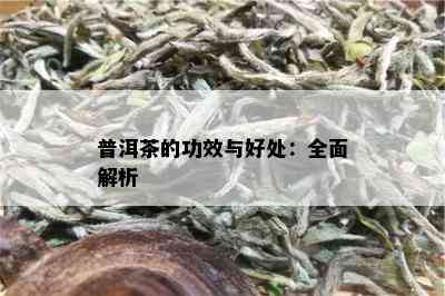 普洱茶的功效与好处：全面解析