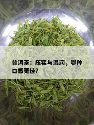 普洱茶：压实与湿润，哪种口感更佳？