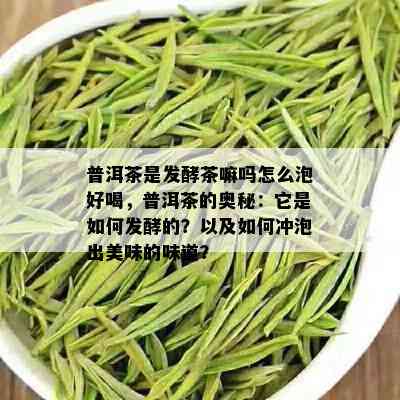 普洱茶是发酵茶嘛吗怎么泡好喝，普洱茶的奥秘：它是如何发酵的？以及如何冲泡出美味的味道？