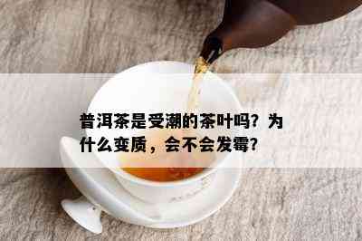 普洱茶是受潮的茶叶吗？为什么变质，会不会发霉？