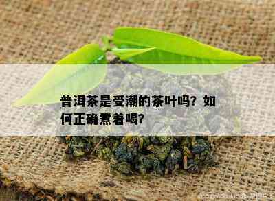 普洱茶是受潮的茶叶吗？如何正确煮着喝？