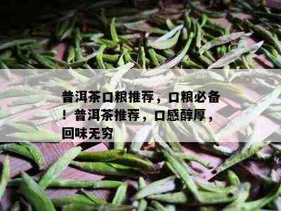 普洱茶口粮推荐，口粮必备！普洱茶推荐，口感醇厚，回味无穷