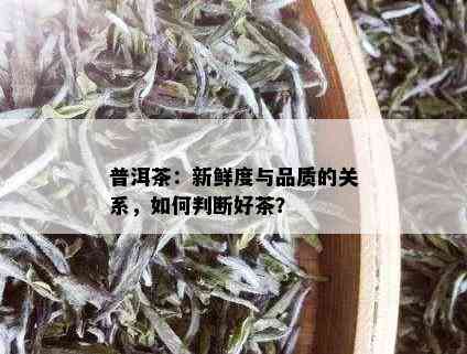 普洱茶：新鲜度与品质的关系，如何判断好茶？