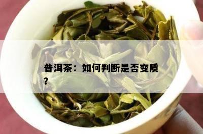 普洱茶：如何判断是否变质？