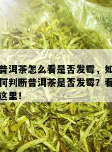 普洱茶怎么看是否发霉，如何判断普洱茶是否发霉？看这里！