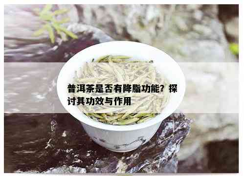 普洱茶是否有降脂功能？探讨其功效与作用