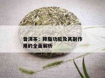 普洱茶：降脂功能及其副作用的全面解析